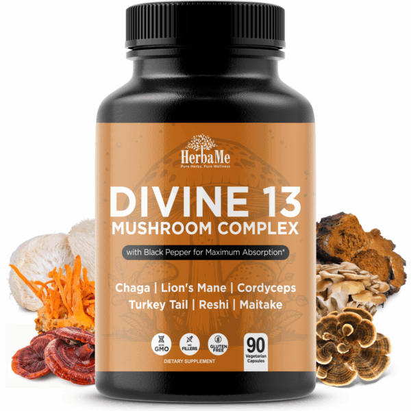 Mushroom Extract Blend Supplement, Brain Health Support