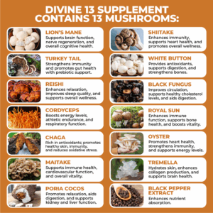Comprehensive Mushroom Fusion: Experience Divine 13’s blend of 13 mushroom extracts with black pepper